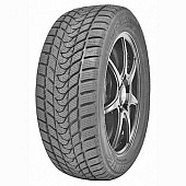 шина Delinte Winter WD1 245/45R19 98S в Санкт-Петербурге